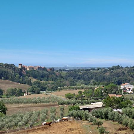 Locazione Turistica Il Secondo-1 Bibbona Esterno foto