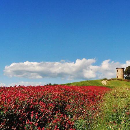 Locazione Turistica Il Secondo-1 Bibbona Esterno foto