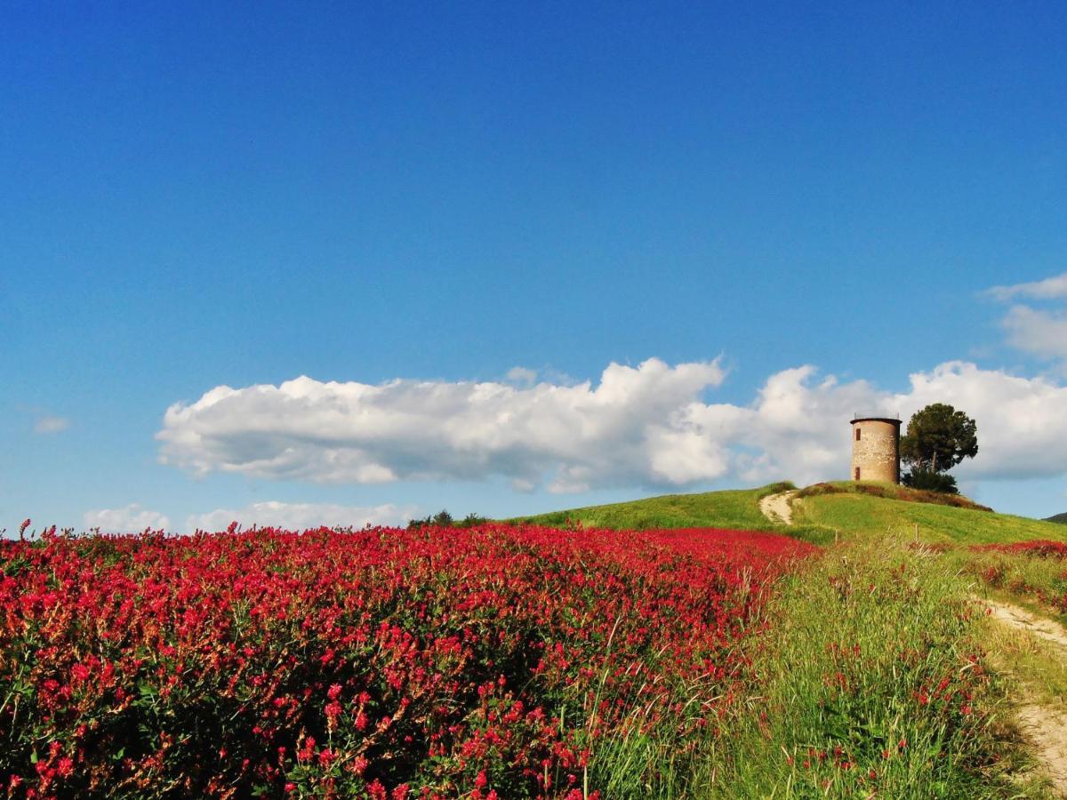 Locazione Turistica Il Secondo-1 Bibbona Esterno foto